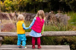 10 Things to Do In and Around Fareham with the Kids